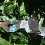 A paper collage of a person lying on large green leaves, reading a letter. The figure has dark skin, a gray bun, patterned shorts, and is surrounded by sunlight and leafy shadows.